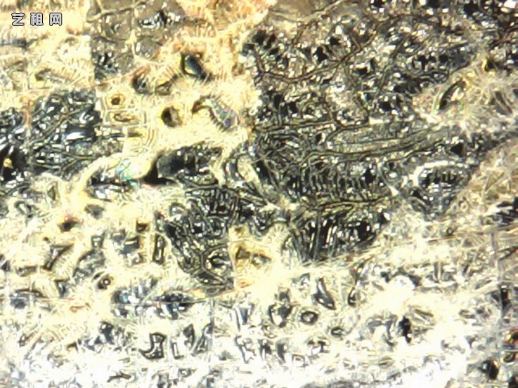 ia_6100001015.jpg