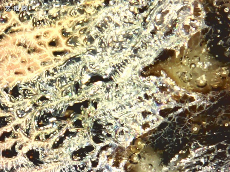 ia_6100001024.jpg