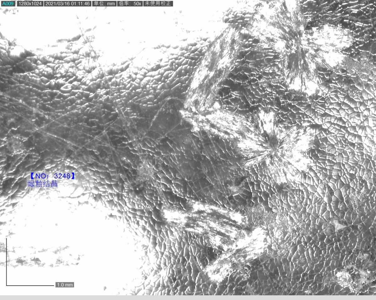 3248 绿釉结晶 偏光显微镜2.jpg