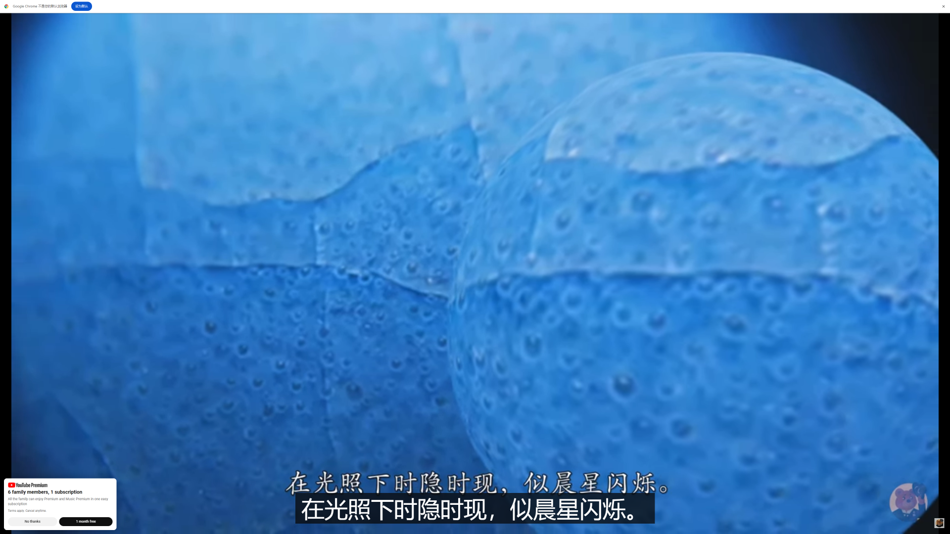 汝窑显微气泡--在光照下时隐时现，似晨星闪烁